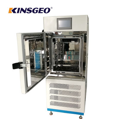 80L camera a clima costante